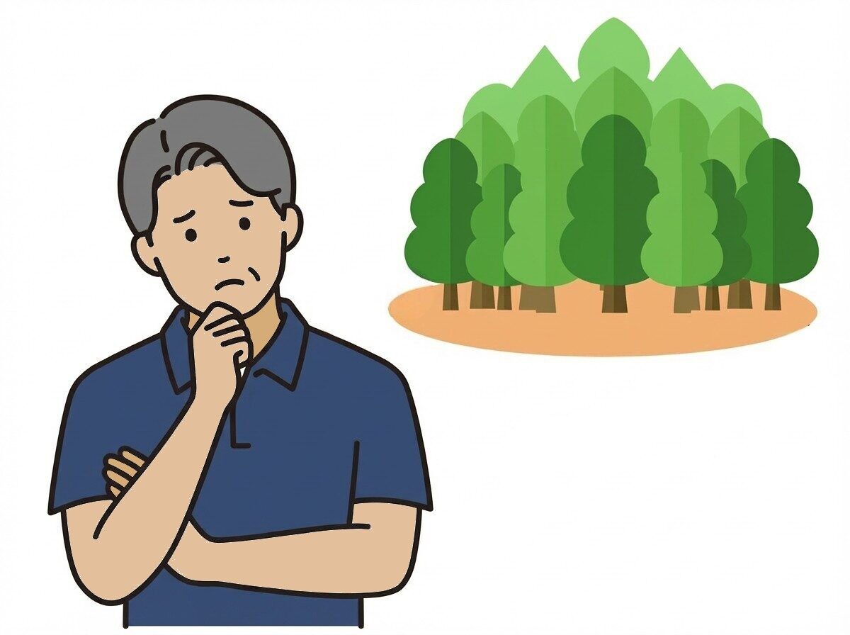 小規模山林は一般的な土地よりも売却は厳しい。持ち続けることでマイナスになることを避けたいなら、当社で引き取りいたします。